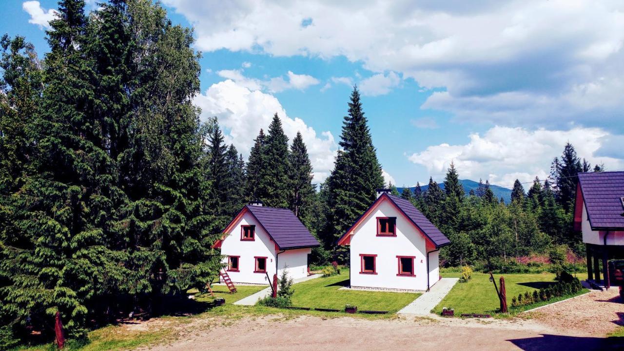 Bukowina * Wetlina