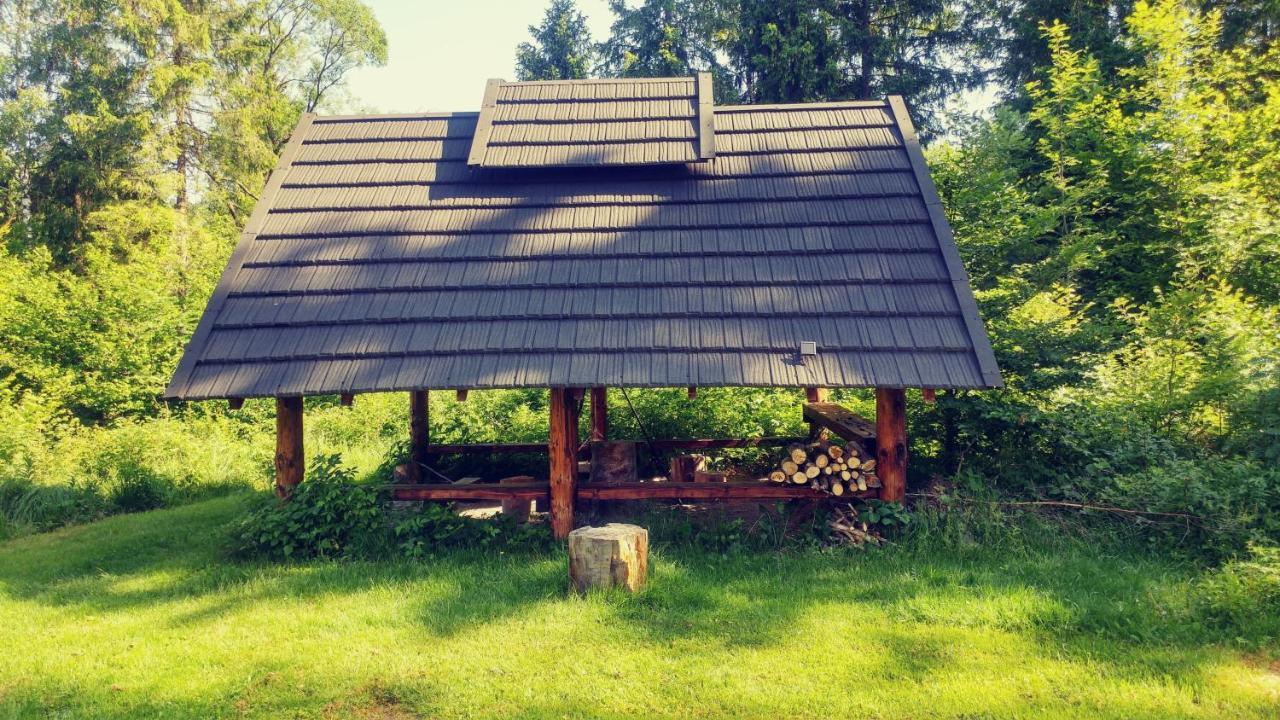 Bukowina Holiday home *