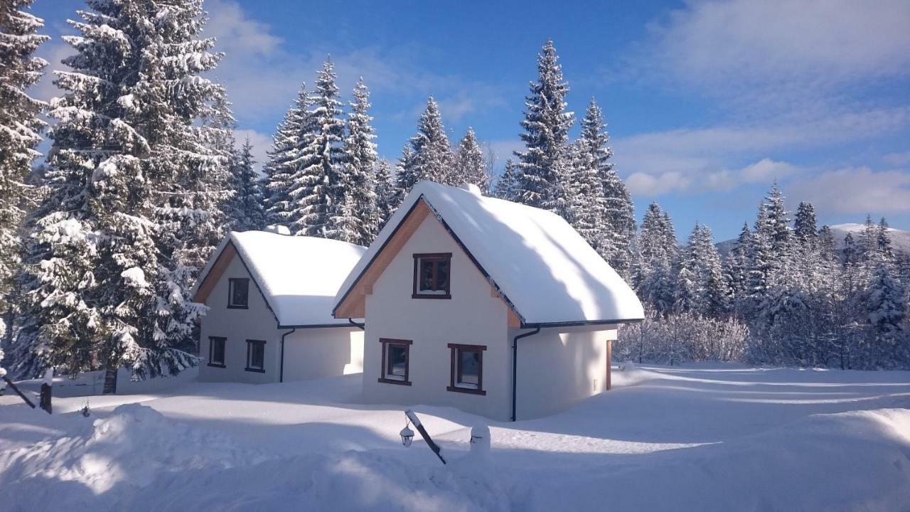 Bukowina Holiday home *