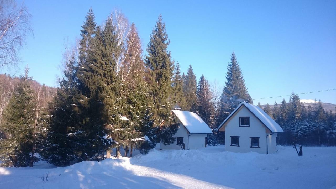Holiday home Bukowina